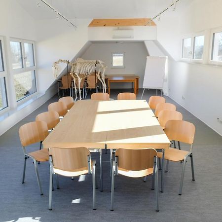 Equiliber Reitkunstzentrum Burgenland Wulkaprodersdorf Zewnętrze zdjęcie